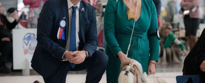 Cairithy-Kim Magic Analand -Shih Tzu