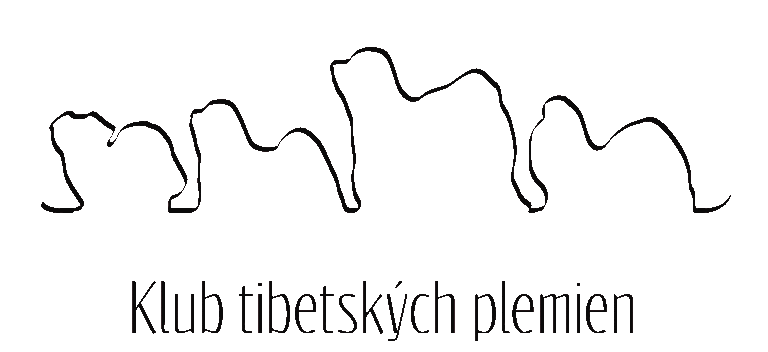 logo-no-bacgroung
