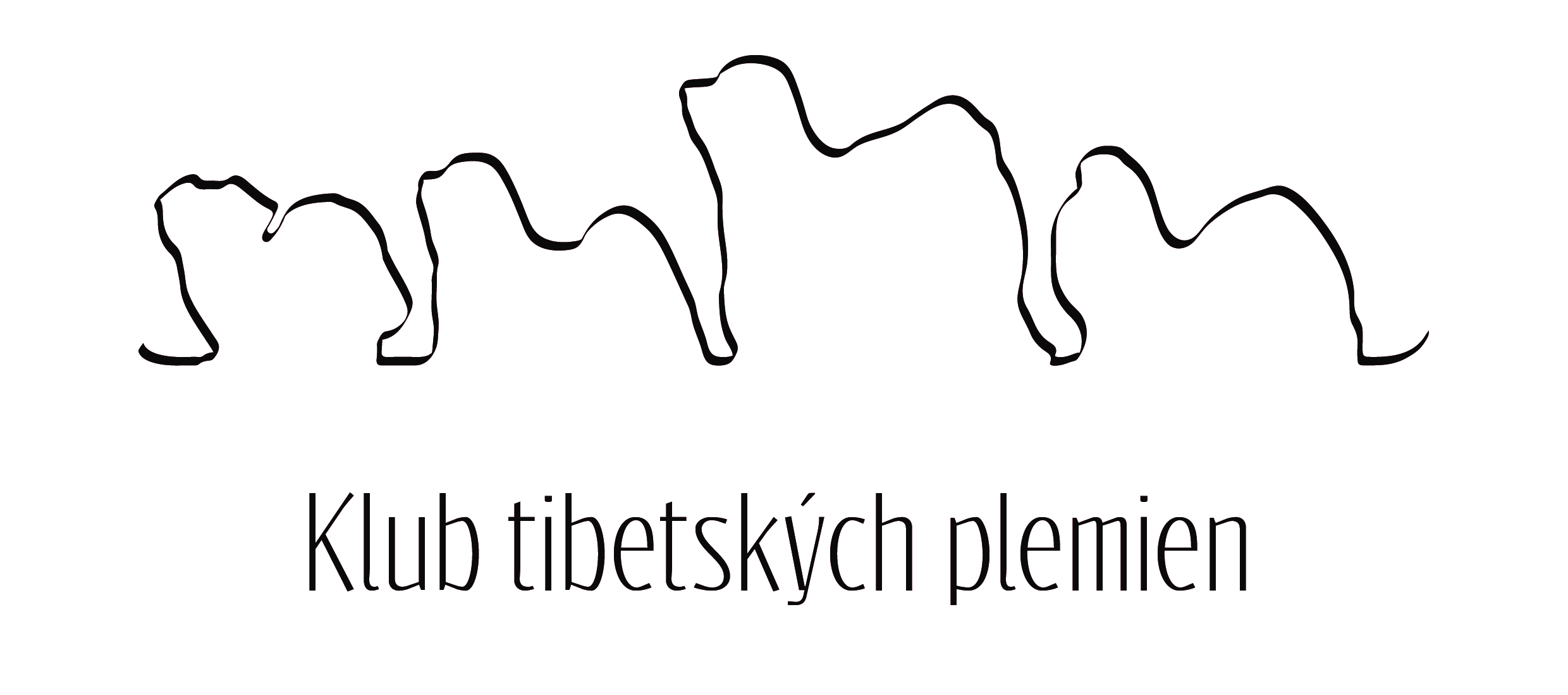 tibetský teriér, lhasa apso, shih tzu, tibetský španiel, šteniatka, psy, plemeno