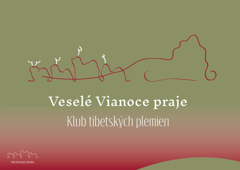 KTP_vianoce-03 (1)