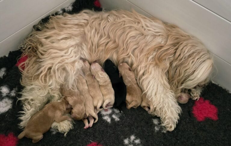 401f2606-88c7-4837-b6af-adefa99a7cb3