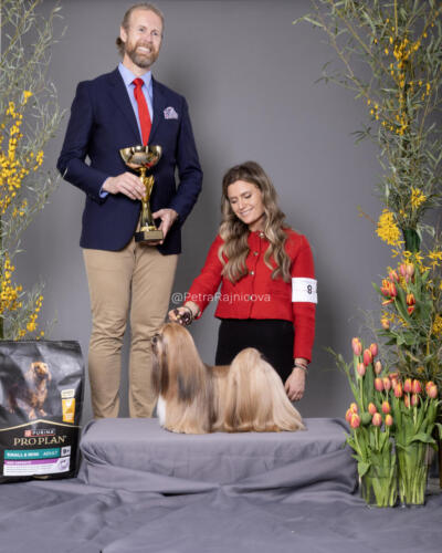 Best In Show 2LHASA APSO	SILHOUETTE DELL ALBERICO	