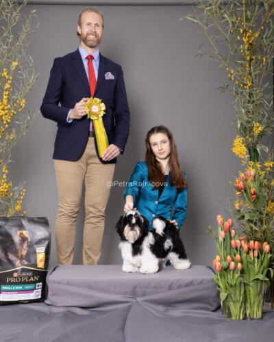 SHIH-TZU	FREAKSHOW FIRE MEET GASOLINE	VN1