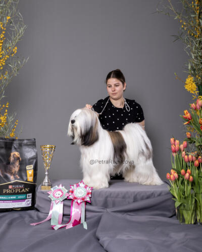 TIBETAN TERRIER	CLAN OF PAULENS BAILEY	V1, CAC, BOS, Víťaz špec. výstavy