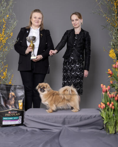 BIS VeteranTIBETSKÝ ŠPANIEL	HAPPY MELODY PEARL OF THE MOON